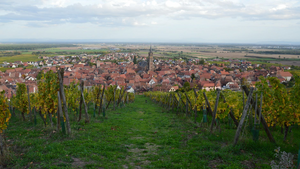 Dépannage climatisation Lingolsheim